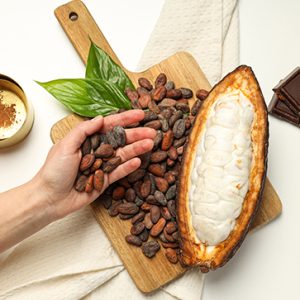 Regular (8 cacao bags)